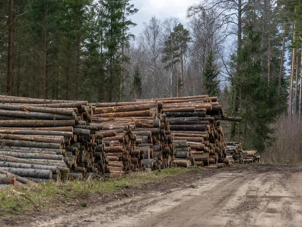 Hromada Dřevěných Klád Navršených Krajnice Jarní Krajina — Stock fotografie