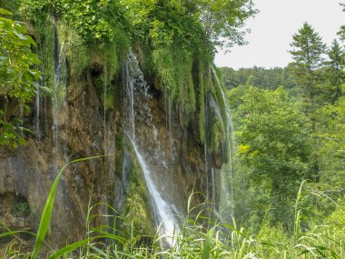 Güzel şelaleler ve dereler, Hırvatistan 'ın Plitvice Gölleri Ulusal Parkı' ndaki kristal berrak su