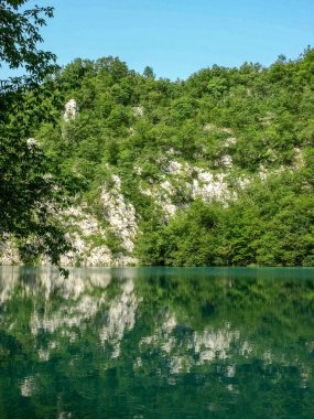 Turkuaz suyu, Plitvice Gölleri Ulusal Parkı ve Hırvatistan 'ın yeşil yaz ormanında küçük bir göl