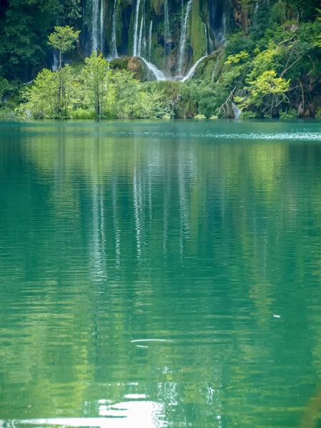 Pequeno Lago Floresta Verde Verão Com Água Azul Turquesa Parque — Fotografia de Stock