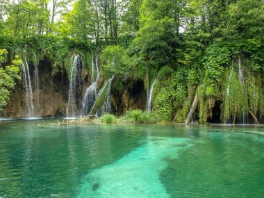 Güzel şelaleler ve dereler, Hırvatistan 'ın Plitvice Gölleri Ulusal Parkı' ndaki kristal berrak su