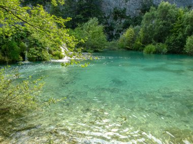 Güzel şelaleler ve dereler, Hırvatistan 'ın Plitvice Gölleri Ulusal Parkı' ndaki kristal berrak su