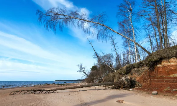 Sea, shore and sand, red clay bank, Vidzeme sea shore, Latvia, the Baltic Sea