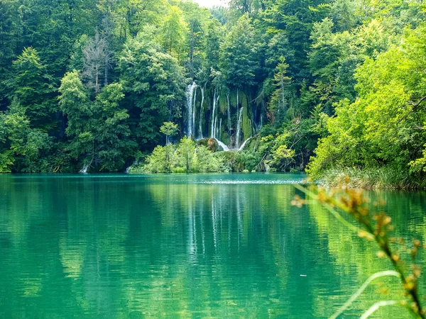 Small Lake Green Summer Forest Turquoise Water Plitvice Lakes National — Stock Photo, Image