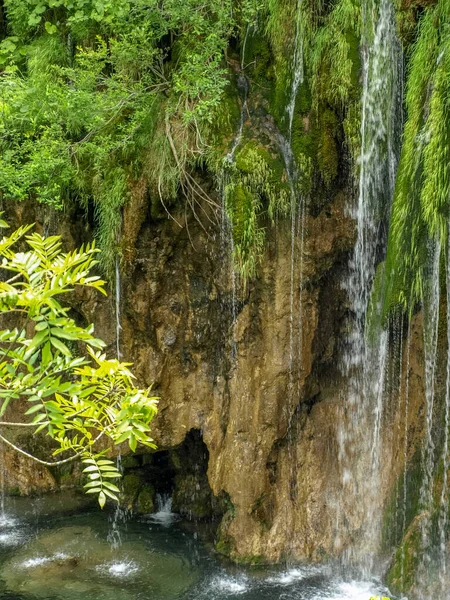 美丽的瀑布和溪流 水晶清澈的水在普里切维奇湖国家公园 克罗地亚 — 图库照片