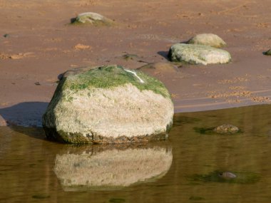 Deniz, sahil ve kayalar, Baltık Denizi 'nin arka planına karşı kumlu bir sahilde büyük kayalar.
