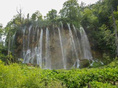 Güzel şelaleler ve dereler, Hırvatistan 'ın Plitvice Gölleri Ulusal Parkı' ndaki kristal berrak su