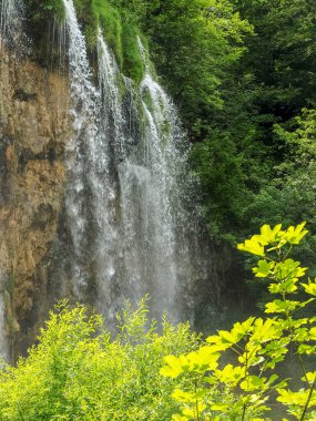 Güzel şelaleler ve dereler, Hırvatistan 'ın Plitvice Gölleri Ulusal Parkı' ndaki kristal berrak su