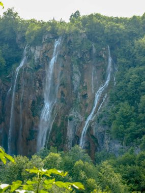 Güzel şelaleler ve dereler, Hırvatistan 'ın Plitvice Gölleri Ulusal Parkı' ndaki kristal berrak su
