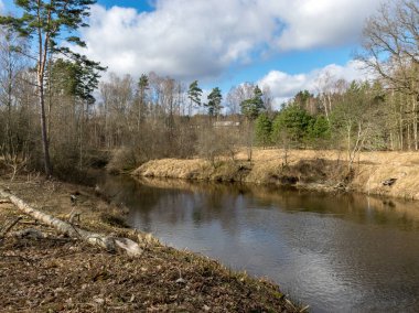 İlkbaharın başlarında nehir manzarası, kuru çimenler ve nehir kıyısında eski sazlıklar, yapraksız ağaçlar.,