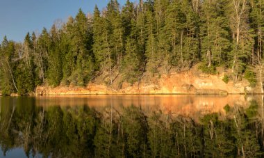 Sudaki ağaç yansımaları, ilkbahar manzarası
