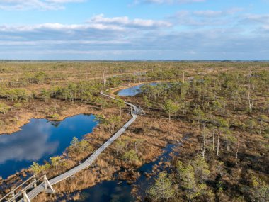Kemeri bataklığının tepesinden manzaralı bir manzara, bozkır manzarası.