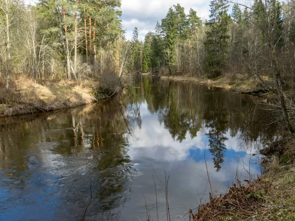 Uitzicht Rivier Het Vroege Voorjaar Droog Gras Oud Riet Aan — Stockfoto