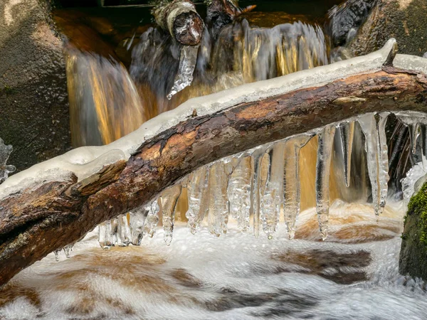 Tronc Arbre Premier Plan Des Fragments Glaçons Gelés Eau Rivière — Photo