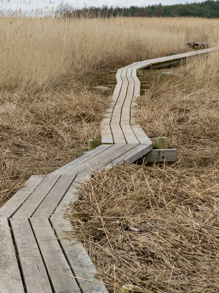 Landschaft Mit Seewiese Frühling Holzsteg — Stockfoto