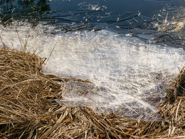 Abstrakter Bildhintergrund Mit Trockenem Gras Dünnem Eis Und Wasserstrukturen Der — Stockfoto