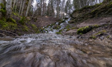 Kayaların üzerinden akan ve bir şelale etkisi yaratan bir su akıntısı, kayaların üzerinde büyüyen temiz su ve yeşil yosun. Kazu Grava, Letonya