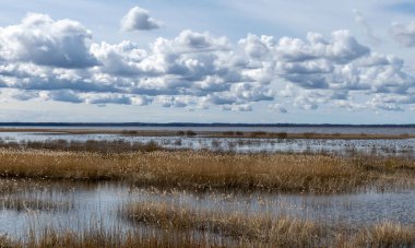 Kuja nehri üzerindeki Masonry köprüsü, açık mavi gökyüzü ile güneşli bir bahar günü, geçen yılın çimleriyle kaplanmış küçük bir nehrin kıyıları. Sudaki ağaç yansımaları, Kuja nehri, Letonya