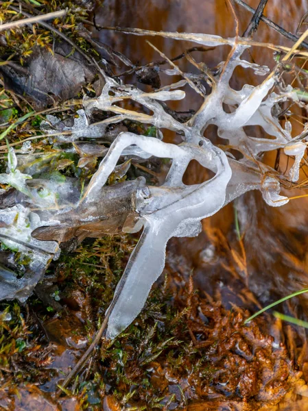 Abstraktes Bild Mit Eiswürfeln Die Gras Und Baumwurzeln Umarmen Schöne — Stockfoto