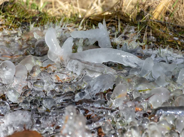 Abstraktes Bild Mit Eiswürfeln Die Gras Und Baumwurzeln Umarmen Schöne — Stockfoto