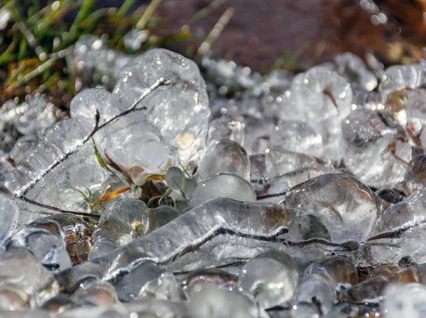 Abstraktes Bild Mit Eiswürfeln Die Gras Und Baumwurzeln Umarmen Schöne — Stockfoto