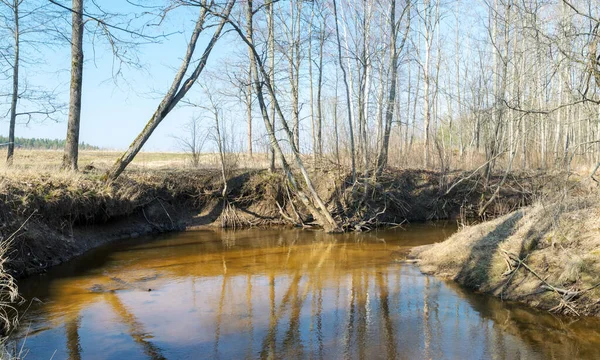 Масонський Міст Через Річку Куджа Сонячний День Ранньої Весни Ясним — стокове фото