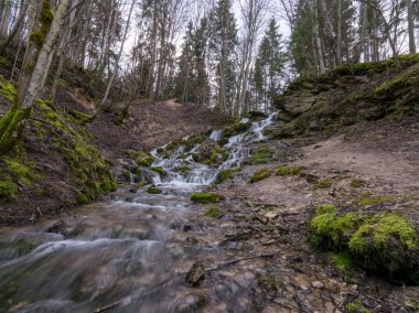 Kayaların üzerinden akan ve bir şelale etkisi yaratan bir su akıntısı, kayaların üzerinde büyüyen temiz su ve yeşil yosun. Kazu Grava, Letonya