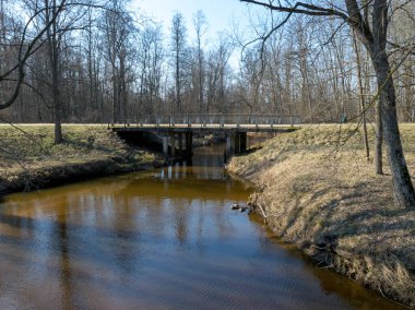 Kuja nehri üzerindeki beton köprü, açık mavi gökyüzü ile güneşli bir gün, geçen yılın çimleriyle kaplanmış küçük nehir kıyıları, sudaki ağaç yansımaları, Kuja nehri, Letonya