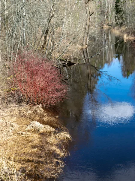 Pequeño Río Principios Primavera Cielo Azul Reflejos Agua Soleado Paisaje — Foto de Stock