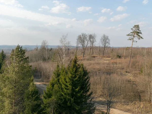 Вид Весенний Пейзаж Башни Вершин Деревьев Кустарников — стоковое фото