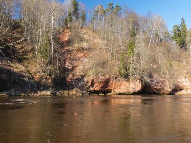 Nehir kıyısında kumtaşı kayalıkları olan büyüleyici bir bahar manzarası, hızlı akan ve temiz nehir suyu, Kuku kayalıkları, Gauja nehri, Letonya