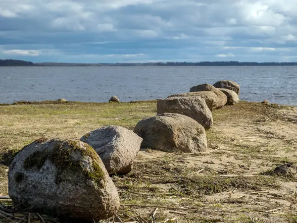 Rangée Pierres Sur Rive Lac Lac Burtnieki Lettonie — Photo