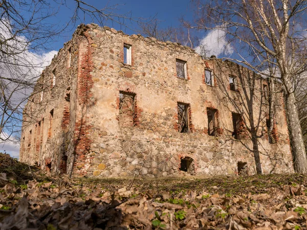 Wunderschöne Landschaft Mit Ruinen Eines Alten Herrenhauses Bäumen Alten Gebäude — Stockfoto