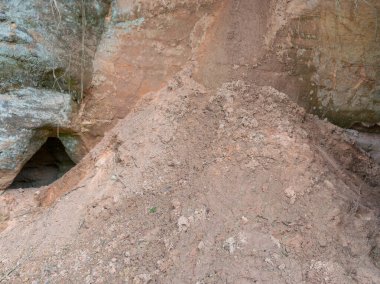 Kum taşı duvarlı ve ağaç köklü bir resim, yosun ve liken dolu bir mağara.
