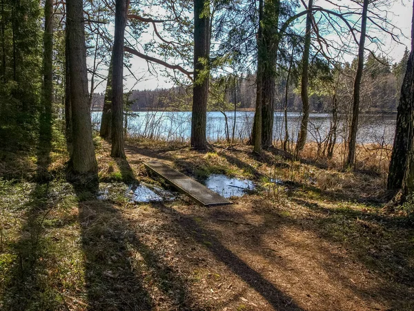 Paesaggio All Inizio Della Primavera Sagome Alberi Sulla Riva Del — Foto Stock