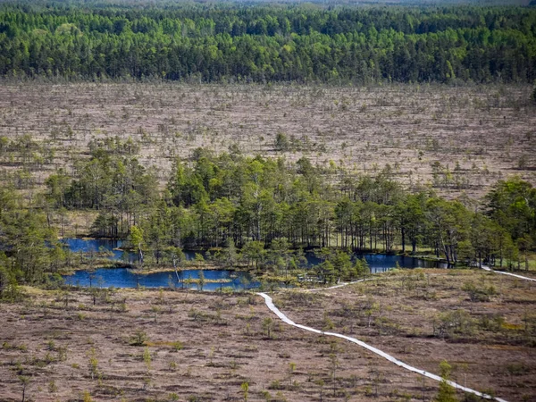 Landschaft Vom Aussichtsturm Bis Zum Wald Und Sumpf Rauchiger Hintergrund — Stockfoto