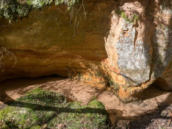 picture with a sandstone wall and tree roots, a cave covered with moss and lichens