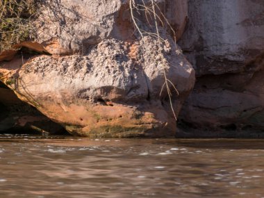 Kum taşı kayalıkları olan küçük, hızlı nehirler, ilkbahar başları manzarası