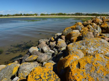Güneşli bir bahar gününde deniz manzarası, kumlu deniz kıyıları, kıyıda kayalar, Vidzeme kıyıları, Letonya