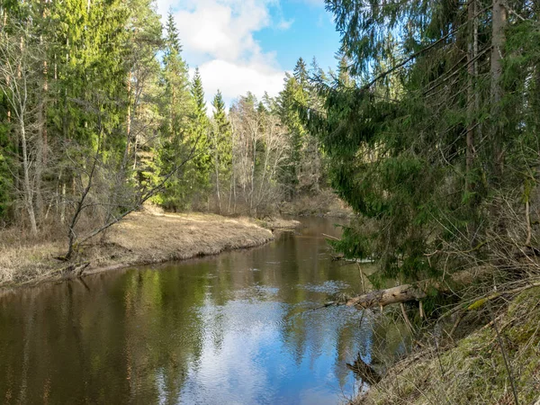 Vista Sul Fiume All Inizio Della Primavera Erba Secca Vecchie — Foto Stock