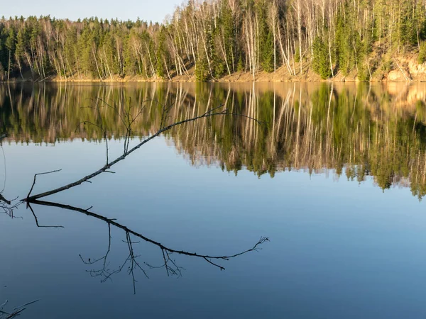 water reflections of trees, early spring landscape, with reflection on mirror water, dry branches of trees in the foreground