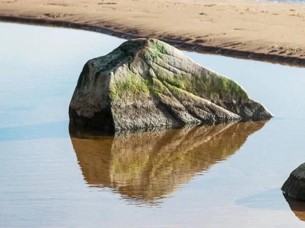 Deniz Sahil Kayalar Baltık Denizi Nin Arka Planına Karşı Kumlu — Stok fotoğraf