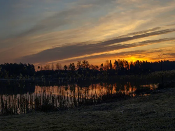 Purple Dawn Sunrise Mirror Images Lake Dry Reeds Foreground Lake — Stock Photo, Image