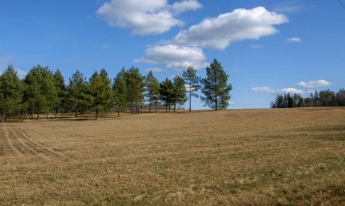 Erken bahar manzarası, arka planda orman, ön planda tarla, parlak mavi gökyüzü.