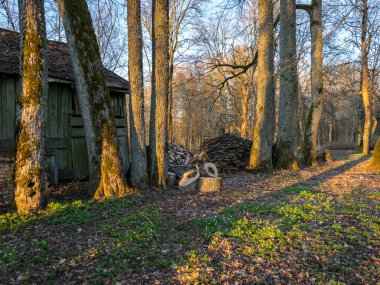 Basit bir çiftlik manzarası, eski ahşap bir ahır ve kış için hazırlanmış odun.