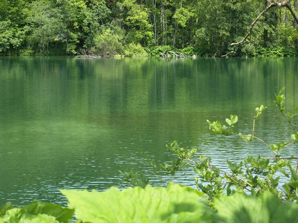 Małe Jezioro Zielonym Lesie Letnim Turkusową Wodą Park Narodowy Jezior — Zdjęcie stockowe