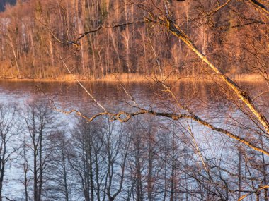 Gölün üzerindeki güzel gün batımı manzarası, büyüleyici akşam renkleri, ön planda ağaç gövdeleri, Augstroze Gölü, Umurga Bölgesi, Limbazi Bölgesi, Letonya