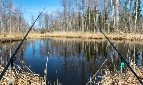 Paesaggio Con Palude Canne Pesca Giorno Primaverile Alberi Senza Foglie — Foto Stock