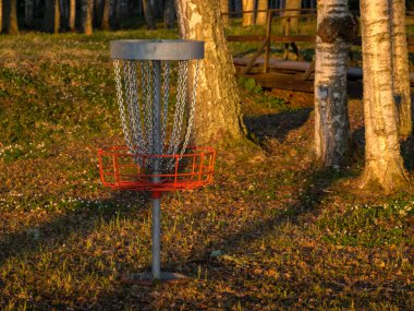 Parkta golf arabası olan bir bahar manzarası, sabah huş ağacı koruluğu.