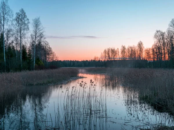 Landskap Med Liten Flod Soluppgången Trädreflektioner Vattnet Torra Vass Ljus — Stockfoto